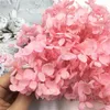 Kwiaty dekoracyjne Wysokiej jakości zachowane róże wieczne mchu suszone naturalny nieśmiertelny hortensja kwiat DIY materiał prezentowy Materiał kwiatowy