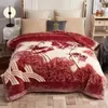 European Style Warm Raschel Blanket for Winter High End Soft Thicken Warmth Weighted Double Side Flocked Comforter Duvet 231225