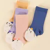 12PAIRS/LOT Autumn and Winter Children's Socos Sockins Midtube dla Borns Borless Baby Socks