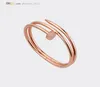 Designerarmband Nagelarmband Mens Bangle Women Armband Diamond 20 Rose Gold Luxury Jewelry Titanium Steel Goldplated Never 2909247