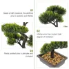 Kwiaty dekoracyjne sztuczna roślina bonsai faux sosna ozdoba drzewa drzewa wewnętrzna Wewnętrzna rośliny