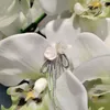 Orecchini per borchie He Fang Jewelry Bundle White Rose per Wedding Wedding Elegant Elegant Ear Studs Clips Gift Clips