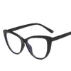 نظارة شمسية إطارات القطة شكل عين العين النساء النظافة الأنيقة المضادة للنساء الأزرق من نظارات النظارات ذات الجودة الجيدة