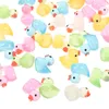 Garden Decorations Mini Resin Ducks Glow In The Dark Tiny Figures DIY Handicraft Micro Landscape Fairy Party Decoration