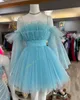 Light Blue Cocktail Party Dress 2k24 Ruffle Tulle Babydoll Junior Lady Pageant Winter Formal Evening Event Hoco Gala Graduation Homecoming NYE Gown Little Black