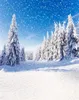 Cielo blu che cade fiocco di neve sullo sfondo per la fotografia fitta neve coperta di alberi di pino strada all'aperto scenico vacanza invernale Po Studio 7732856