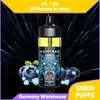 12000パフEタバコスターター使い捨て蒸気メッシュコイル充電式バッテリーLEDライト2％5％NIC VAPE