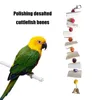 Other Bird Supplies Cuttlefish Bone Toys For Pet Parrot Chewing Parakeet Cockatiel Molars Funny Sports Equipment