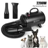 Kurutucular Köpekler için Saç Kurutucu 2200W 220V AB Fiş Küçük Orta Büyük Köpek İçin Sıcak Rüzgar Kurutucu Ayarlanabilir Kurutulabilir Saç Pet Kedisi Tımar Üfleyici