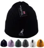 Mannen Vrouwen Unisex Gebreide Muts Winter Warmer Cap Muts Muts Wandelen Ski Cuffed Knit Stretch2505444