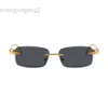 Дизайнерские солнцезащитные очки Carti Catier Kajia, новые медные очки для мужчин и женщин, модная голова леопарда, сочетающаяся с близорукостью