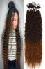 Fasci di capelli ricci afro crespi sintetici 32quot Anjo Plus Estensioni dei capelli in fibra organica Colore Ombre 9 pezzi Testa piena soffice per Wom9213771