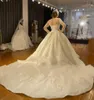 Popular Ball Gown Wedding Dress 2024 Scoop Beading Lace Appliques Long Illsuion Sleeve Women Bridal Formal Gowns Vestidos De Novias Robe De Mariee Customed