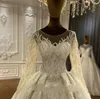 Popular Ball Gown Wedding Dress 2024 Scoop Beading Lace Appliques Long Illsuion Sleeve Women Bridal Formal Gowns Vestidos De Novias Robe De Mariee Customed