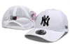 2024 Luxe Emmer Hoed Designer Dames Baseball Cap Heren Fashion Design Baseball Caps Baseball Team Brief Jacquard Unisex Vissen Letter NY mutsen Hoeden