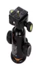 PRO CAMERA TRIPOD BALL HEAD Snabbutgivningsplatta Panoramic Swivel Ballhead Q03 med dubbla bubbelnivå QZSD03 för DSLR Canon Nikon2434347