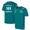 Camisetas para hombre Moda Camisetas del equipo Aston Martin Piloto de carreras español Fernando Alonso 14 y PASEO 18 Polos de gran tamaño XS-5XL