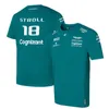 Magliette da uomo Moda Magliette della squadra Aston Martin Pilota spagnolo Fernando Alonso 14 e STROLL 18 Polo oversize XS-5XL