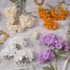 Simulation d'hortensia à 3 têtes, Arrangement de mariage, accessoires de photographie, ornements de maison, Simulation d'hortensia EH