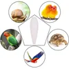 Other Bird Supplies Cuttlefish Bone Toys For Pet Parrot Chewing Parakeet Cockatiel Molars Funny Sports Equipment