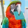 100 st papegoja trä chip leksaker fågel som spelar bett naturligt diy leksakspel leveranser mixcolor slumpmässigt 231225