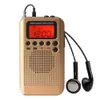 Connettori Radio portatile Am Fm con sveglia Timer di spegnimento Sintonizzazione digitale Radio stereo con jack per cuffie da 3,5 mm per passeggiate in campeggio