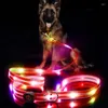 Hundehalsbänder Haustier-Licht-Up-Kragen-Leine LED-blinkende USB-Aufladung Einstellbarer Geh-Ziehgürtel Modebedarf