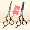 PIRBASSI DI CAPELLI 60QUOT 175 cm 440C Dragon viola Acconciatura Acconciatura Adattamento diradamento a taglio Professional Z90058614936