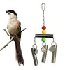 Altre forniture per uccelli Campana giocattolo in acciaio inossidabile per scoiattolo pappagallo di medie e grandi dimensioni (colore casuale delle perline)