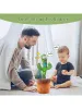 Jouets Cactus parlant dansant pour bébés garçons et filles, enregistrement imitant le chant et répétant ce que vous dites, Sunny Cactus Up Plus, 1 pièce