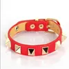 Ny Lovely Fashion Star Style Women's Armband och Candy Multicolour Women Strap Rivet Armband för Gift348s