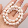 Perles de perles d'eau douce naturelles en forme de riz 100 vraies perles perle exquise pour la fabrication de bijoux bricolage femmes Bracelet collier boucle d'oreille 231226