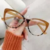 Sunglasses Fashion Computer Blue Light Blocking Glasses Cat Eye Eyeglasses Frames For Women Oval Ladies Clear Glass Spectacles Oculos