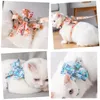 Bogen-Haustier-Katzen-Geschirr-Leinen-Brust-justierbare Blumen-Spaziergang-Bügel-Halsbänder für Katzen-Kaninchen-kleiner Hund 231225