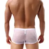 Men's Sexy Underwear See Through Breathable Mesh Boxer Shorts Transparent Striped Underpants Comfortable Male Hombre Thin Soft 231226