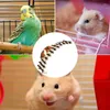 Diğer Kuş Malzemeleri Ahşap Hamster Merdiven Küçük Hayvan Köprüsü Tırmanma Cüce Suriye Gine için Oyuncak Oyuncak