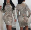 Silver Glitter Tight Montering Dress Långärmad kvinnors paljettklänning Transparent vinter Elegant Sexig nattklubb Net Glitter Party Dress 231226