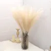 Flores decorativas longo ramo fofo artificial pampas grama flor para decoração boho buquê vaso natal casamento decoração de casa falso reed