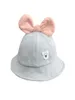 2020 Baby Hat Spring and Autumn Fashion Thin Girl Fisherman Hat Princess Cute Baby Sun Hat 12 år Girl2551483