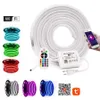 Remsor WiFi Control RGB Neon Strip Light Lamp Waterproof 2835 Vitt varmt flexibelt LED -rep EU UK AU 220V US 110V265E