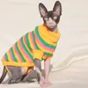Abbigliamento per cani Sfinge Vestiti per gatti Maglione Maglione per gatti Cucciolo Dolcevita lavorato a maglia Maglioni medi Poleron Cani di piccola taglia Maglia a collo alto