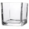 Vasos Vaso de vidro quadrado Clear Cube Hidropônico Modern Flower Planter (10x10cm)
