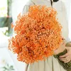 Decorative Flowers Dried Baby's Breath Thanksgiving Halloween Christmas And Harvest Festival Wedding Centerpieces DIY Crafts Gift Boxes