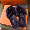 Orans Sandales Femmes Pantoufles Hiver Violet Chaussures en Laine Haut de Gamme pour Les Sorties d'automne des Femmes 2024 Hiver Nouveau Plusand One Foot Cotton Pantoufles rj