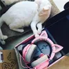 Słuchawki Razer Kraken Cat uszy Inear Słuchawki Akcesoria Kraken Te v2 słuchawki gier