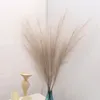 Fiori decorativi Ramo lungo Soffici fiori artificiali di erba di pampa per la decorazione Boho Bouquet Vaso Decorazione natalizia per la casa di nozze Canna finta