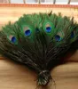 Elegant decorative materials Real Natural Peacock Feather Beautiful Feathers about 25 to 30 cm HJ1707683765