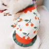 Vêtements pour chiens Vêtements à tricoter Bouton ouvert Pull Cherry Dogs Vêtements Mode Kawaii Chaud Automne Hiver Teddy Sweet Trendy Ropa Perro