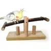 Parrot Bite Toy Wooden Cheesaw Bujane krzesło stojak batonika huśtawka ptak papuga kakatiels conures psucie plac zabaw dla zwierząt domowych 231225