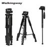 Walkingway Q222 Portable Camera Trip Stand Aluminium Travel Tripode Monopod för POGRAPHY VIDEO Digital SLR DSLR Camera 2103172642955